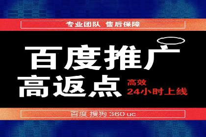 百度SEO推广实战：行业领先企业的成功之道